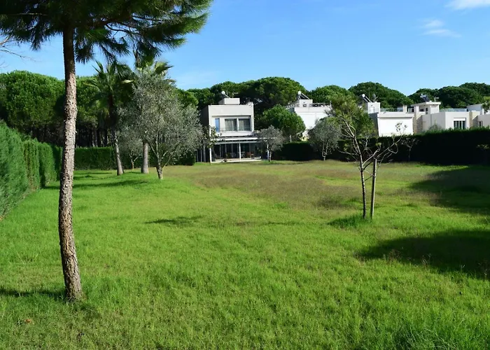 Amorino By The Sea